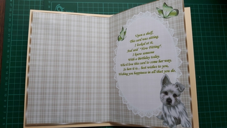 Sweet Little Terrier Pup by Susan Heanes