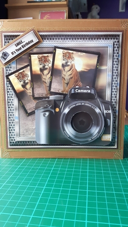 Through the Lens - Tiger by Susan Heanes