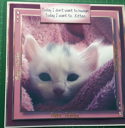 Today.....I Want To kitten by Susan Heanes