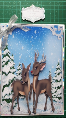 For A Special Couple At Christmas Time by Susan Heanes