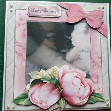 Sleepy Puppy 8x8 Mini Kit by Susan Heanes