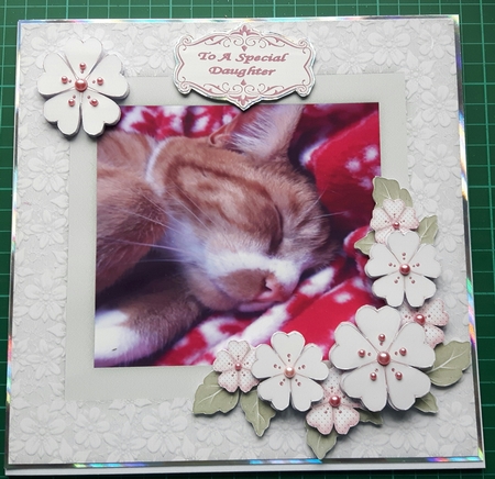 Sleeping Tiggi - 8x8 Mini Kit by Susan Heanes