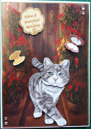 Here Comes Little Miss Fluffy McMittens by Susan Heanes