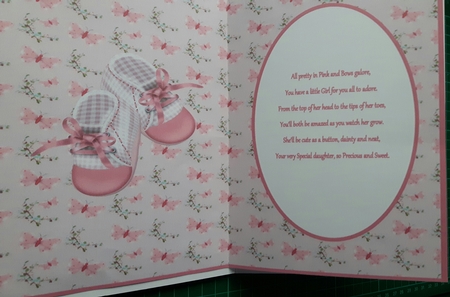 Ten Little Fingers And Ten Little Toes Insert - Girl by Susan Heanes