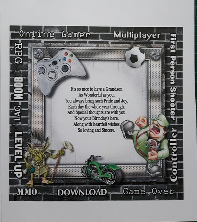 The Online Gamer by Susan Heanes
