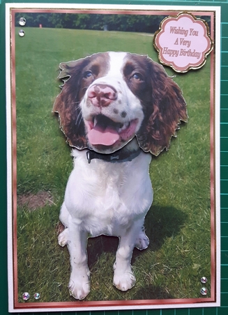 Handsome Ted by Susan Heanes