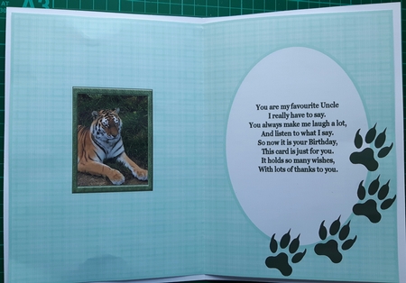 The Tiger Of Dartmoor Zoo Insert by Susan Heanes