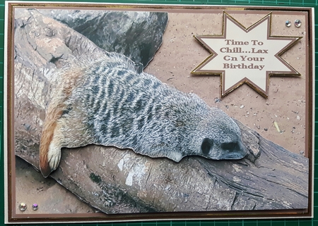 Time To Chill....Lax On Your Birthday by Susan Heanes