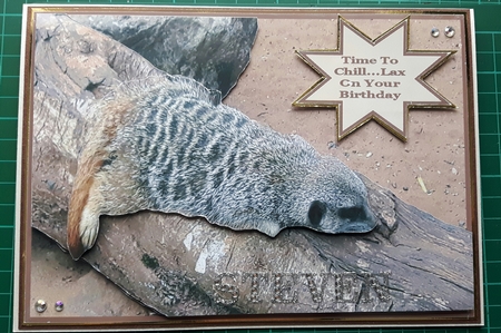 Time To Chill....Lax On Your Birthday by Susan Heanes