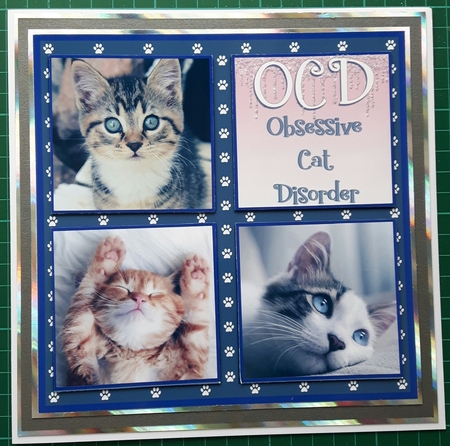 OBSESSIVE CAT DISORDER by Susan Heanes