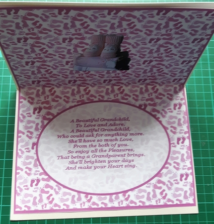 Congratulations On The Birth Of Your Granddaughter Insert by Susan Heanes