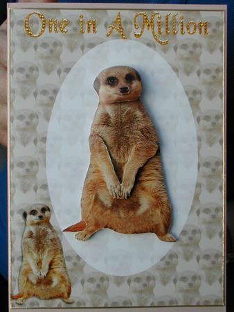 Meerkat 3D Decoupage by Susan Heanes