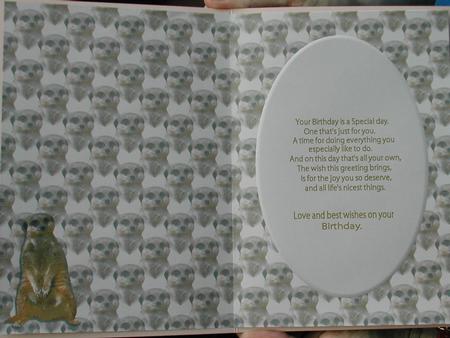Meerkat Card Insert by Susan Heanes