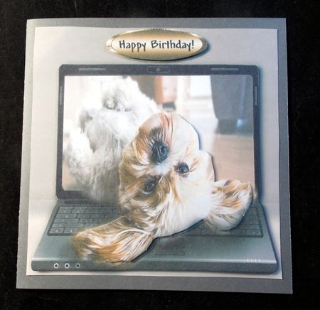 so cute by Susan Mehlbaum