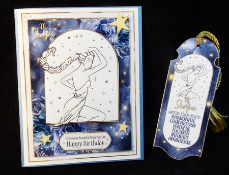 Zodiac Stylish Star Signs Scorpio by Susan Mehlbaum