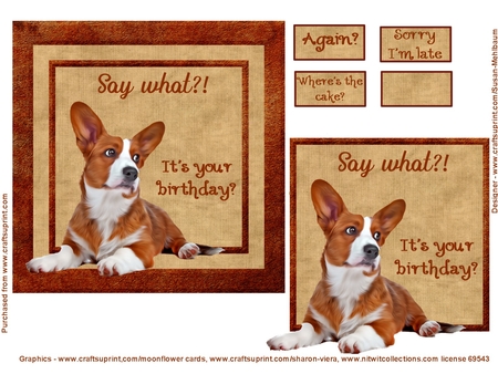 Pet Portraits 10 by Susan Mehlbaum