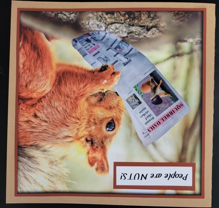Funny Squirrel Quick Card by Susan Mehlbaum