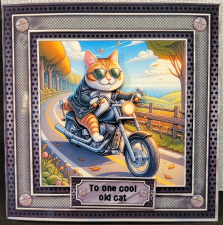 CAT ON BIKE  - Illustrations for Cardmakers & Designers  by Susan Mehlbaum