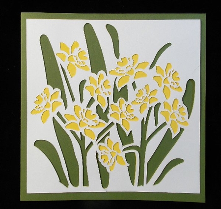 Daffodil Outline Card by Susan Mehlbaum