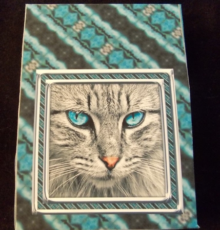 JJ CAT FULL FACE 2 PINCH BAG AND TAG PINCH BAG AND TAG by Susan Mehlbaum