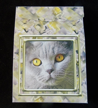 JJ CAT FULL FACE 4 PINCH BAG AND TAG PINCH BAG AND TAG by Susan Mehlbaum