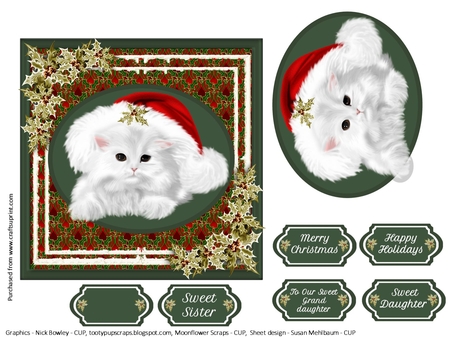 6 Fluffy White Kittens In Santa Hats Png, by Susan Mehlbaum