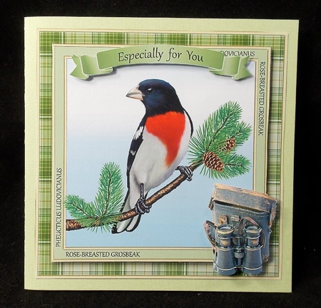Birdwatcher Card Front / Topper by Susan Mehlbaum