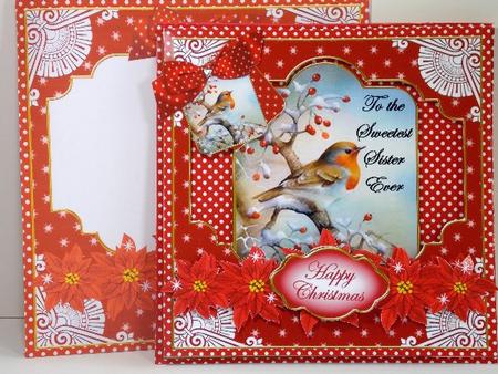 Red Robin Special 8in Tag N' Envelope Kit by Susan Mehlbaum