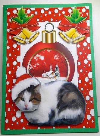 Cat with Santa Hat and Winter Scene Bauble by Susan Mehlbaum