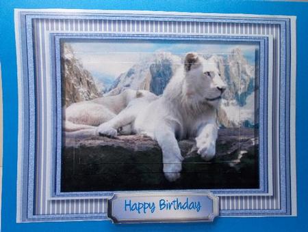 Beautiful Snow Lion in the Mountains  by Susan Mehlbaum