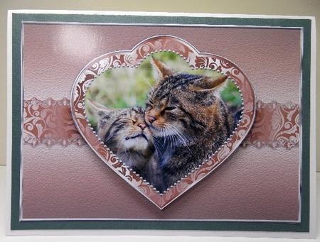 Scottish Wildcat with Her Kitten A4 by Susan Mehlbaum