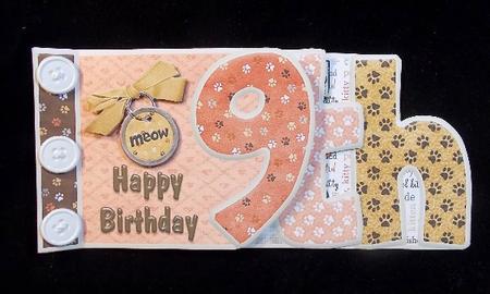 Cats Whisker's 9th Happy Birthday Book Sheet by Susan Mehlbaum