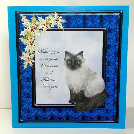 Frames by Susan Mehlbaum
