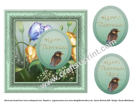 Elegant Pastel Frames by Susan Mehlbaum
