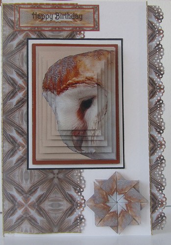 Barn Owl by Susan Parker