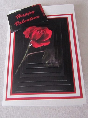 Valentine Single Rose by Susan Parker