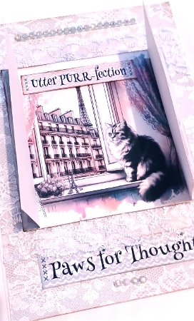 CATS - Looking out the Window  by Susie Jefferson