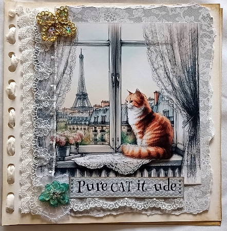 CATS - Looking out the Window  by Susie Jefferson