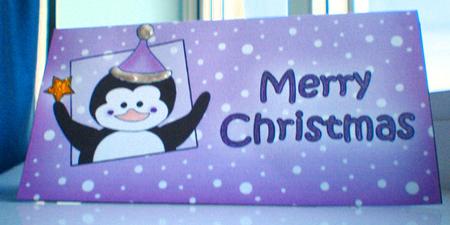 Xmas Penguin Money or Gift Wallet and Card by Suzanne Burrows