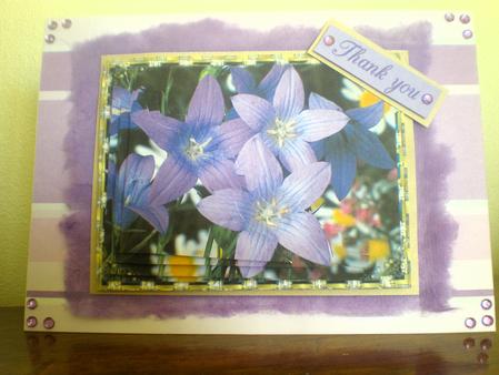 Spring Flowers by Suzanne Burrows