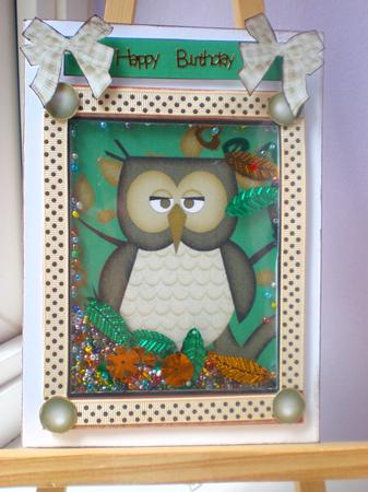 Cute Wise Owl Shaker Card by Suzanne Burrows
