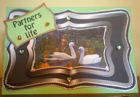 Partners for Life by Suzanne Burrows