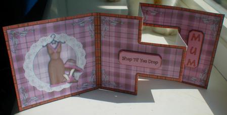 Fashion Victim Pink T-step Tri Fold by Suzanne Burrows