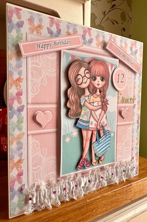 Friends Mini Kit With Ages 10 to 15 Yrs by Suzanne Kavanagh