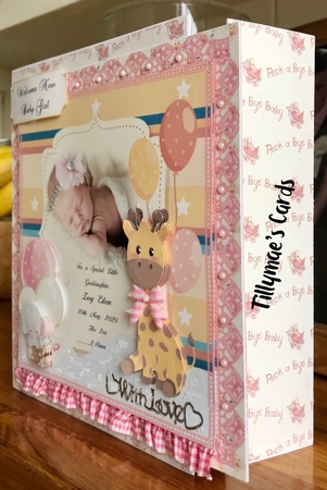 A Precious Gift - Girl by Suzanne Kavanagh