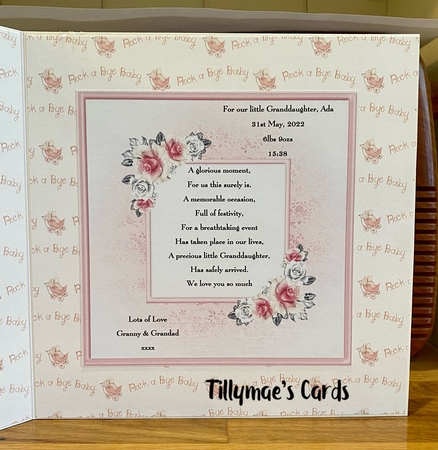 Baby Girl Collage Mini Page Kit by Suzanne Kavanagh