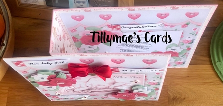 Precious  Baby Girl Mini Kit by Suzanne Kavanagh