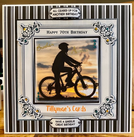 The Cyclist  by Suzanne Kavanagh