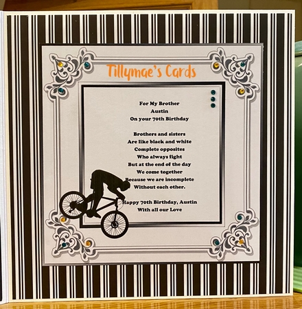 The Cyclist  by Suzanne Kavanagh