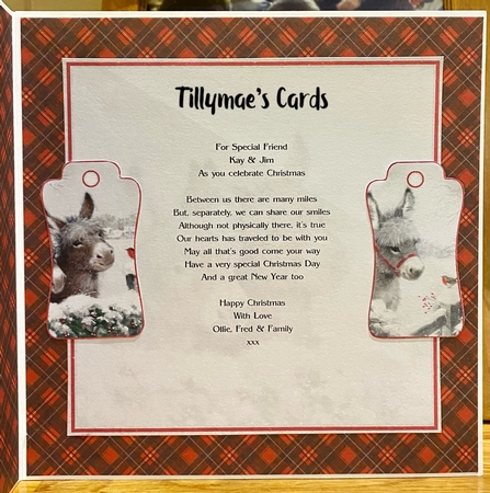 Little Donkey Mini Kit #6 by Suzanne Kavanagh